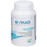 VMAG 60 COMPRESSE OROSOLUBILI DA 1,5 G