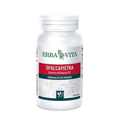 SPACCAPIETRA 60 CAPSULE