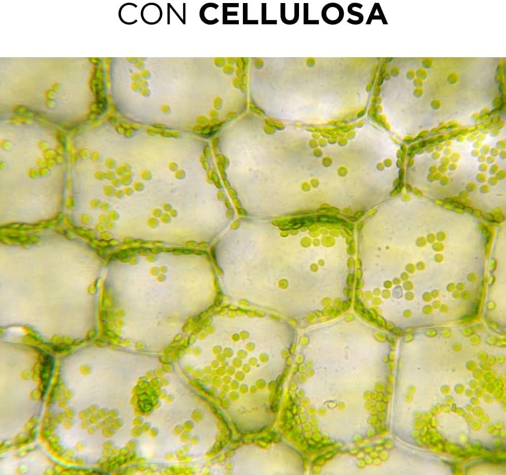 PHYTOSPECIFIC CURL LEGEND SPRAY RAVVIVA RICCI 150 ML