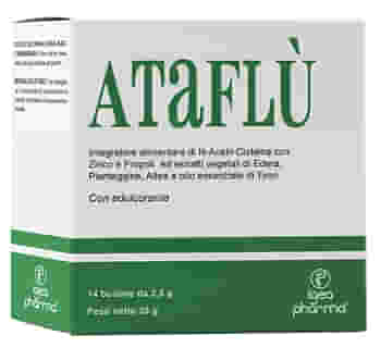 ATAFLU' 14 BUSTINE