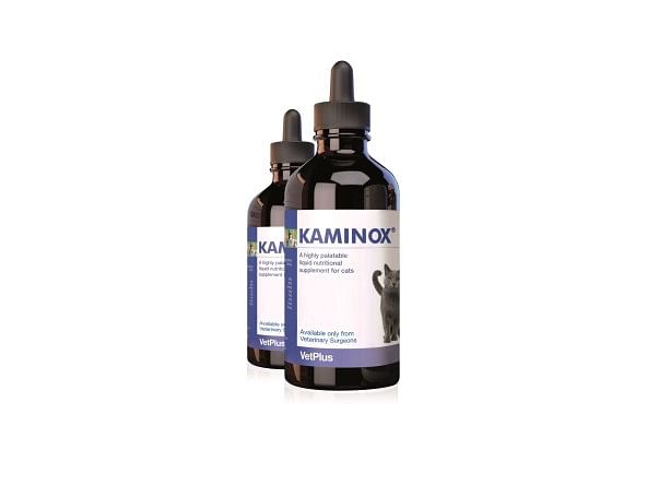 Kaminox Sciroppo 60 Ml