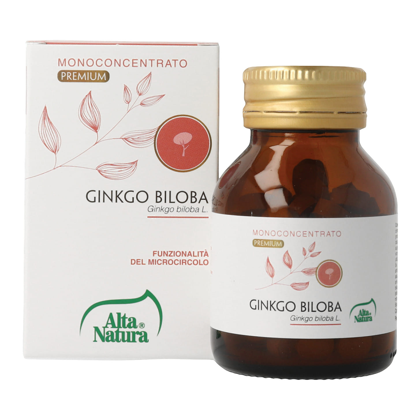 GINKGO BILOBA 100 COMPRESSE 400MG TERRANATA