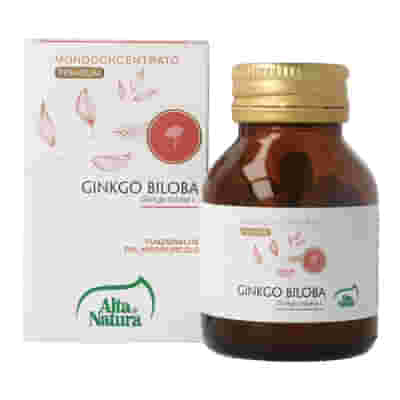 GINKGO BILOBA 100 COMPRESSE 400MG TERRANATA
