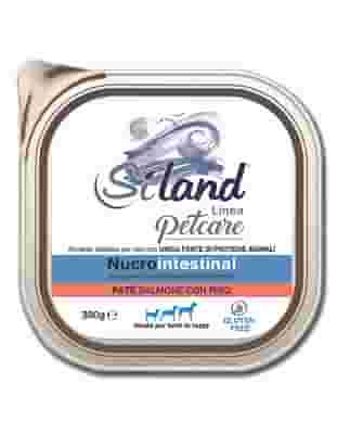 SILAND NUCROINTESTINAL UMIDO CANE SALMONE/RISO 300 G