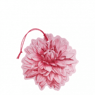 SFUMATURE DI DALIA FIORE PROFUMATO 1 PEZZO