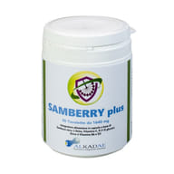 SAMBERRY PLUS 90 TAVOLETTE
