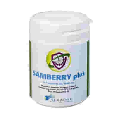 SAMBERRY PLUS 90 TAVOLETTE