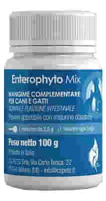 ENTEROPHYTO MIX POLVERE 100 G