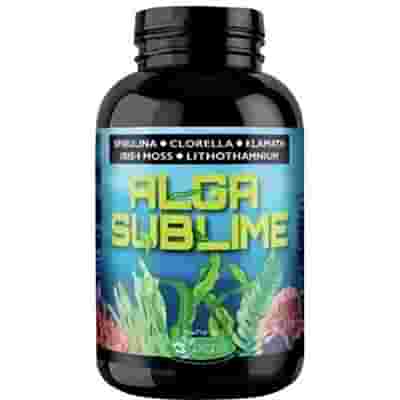 ALGA SUBLIME 500 CAPSULE