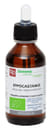 IPPOCASTANO MACERATO GLICERICO 100 ML BIO
