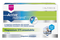 THEISS ACTIVE NUTRIENT MAGNESIUM 375 14 STICK OROSOLUBILI