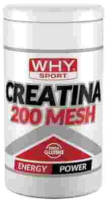WHYSPORT CREATINA 200 MESH 500 G