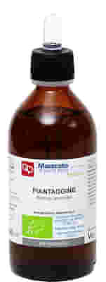 PIANTAGGINE TINTURA MADRE 200 ML BIO