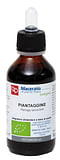 PIANTAGGINE TINTURA MADRE 100 ML BIO