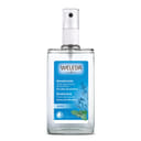 DEODORANTE SPRAY SALVIA 100 ML