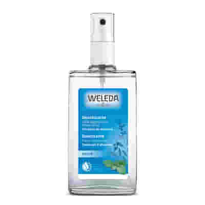 DEODORANTE SPRAY SALVIA 100 ML