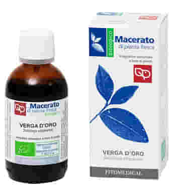 VERGA D'ORO TINTURA MADRE 50 ML BIO