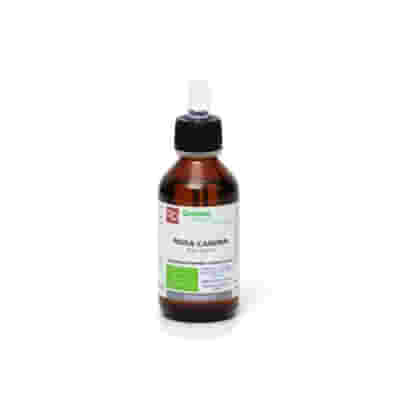 ROSA CANINA MACERATO GLICERICO 100 ML BIO