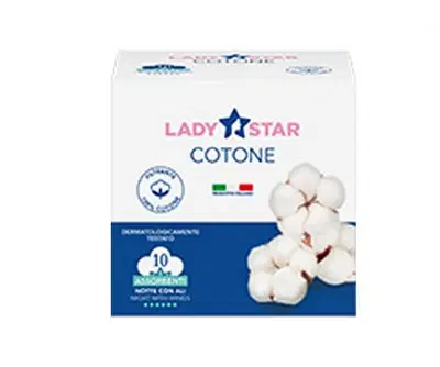 ASSORBENTI ESTERNI LADYSTAR COTONE NOTTE ALI 12 PEZZI ASSORBENTI ESTERNI LADYSTAR COTONE NOTTE ALI 12 PEZZI