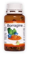BORRAGINE 60 SOFTGEL