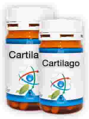 CARTILAGO 60 CAPSULE