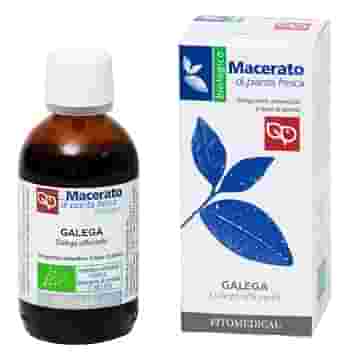 GALEGA TINTURA MADRE 50 ML BIO