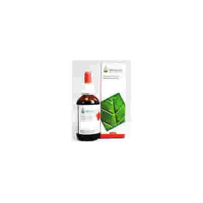 GENZIANA BIO SOL IAL 50ML