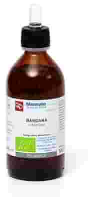 BARDANA TINTURA MADRE 200 ML BIO
