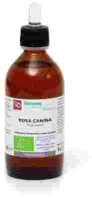 ROSA CANINA MACERATO GLICERICO 1000 ML BIO