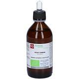 ROSA CANINA MACERATO GLICERICO 200 ML BIO