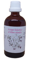 SCIROPPO LICHENE ISLANDICO 100 ML