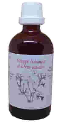 SCIROPPO LICHENE ISLANDICO 100 ML