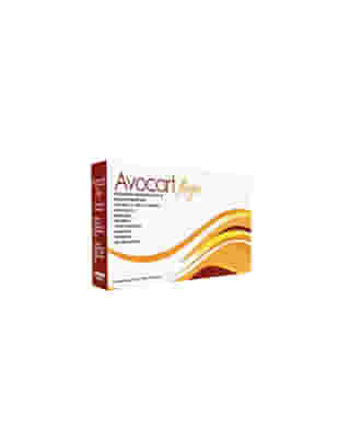 AVOCART FLOGO 14 BUSTINE