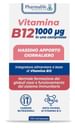 VITAMINA B12 100 COMPRESSE VITACURVEG