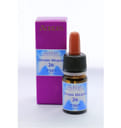 DIVINE HEALER 26 HAAIAH GOCCE 7 ML