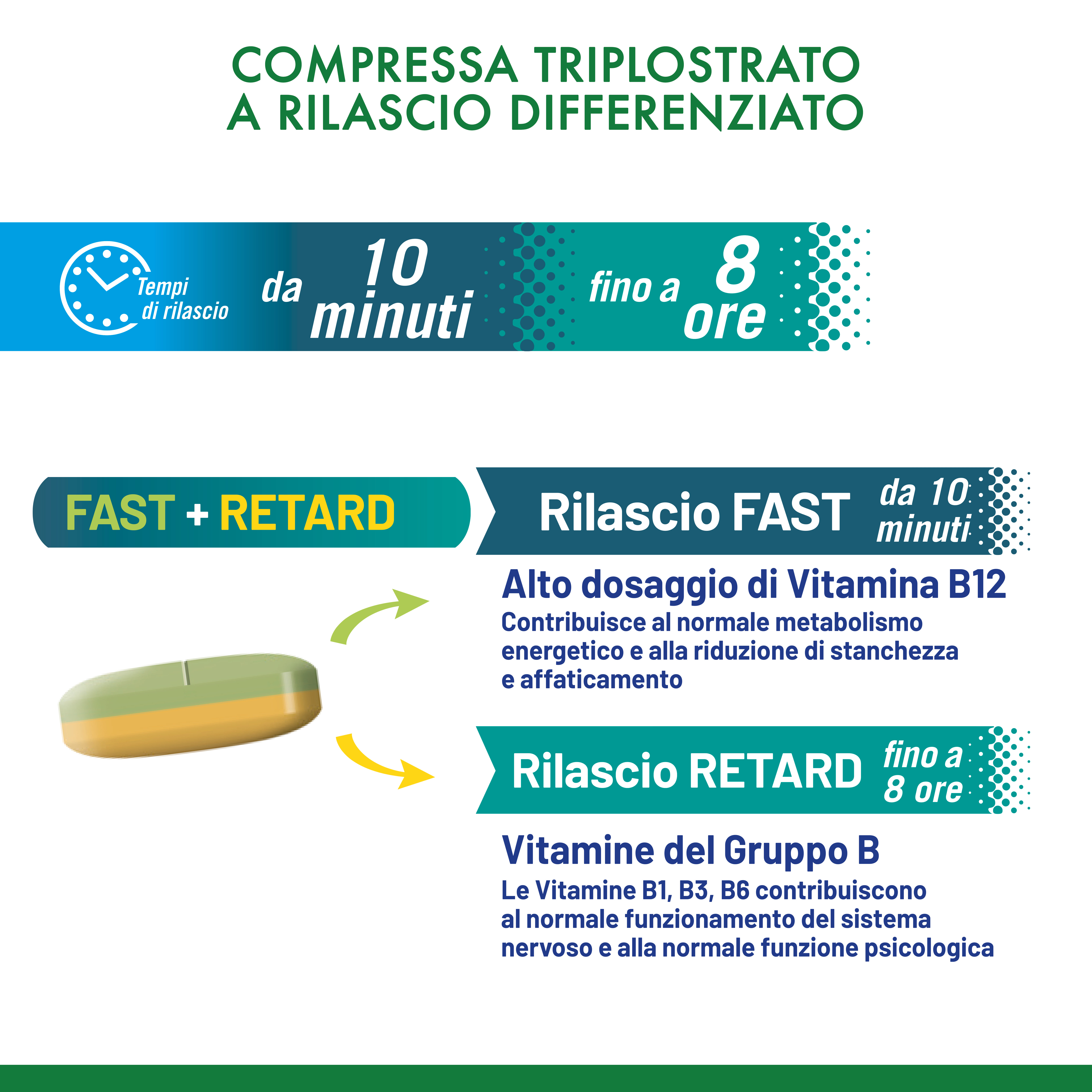 GRUPPO B 30 COMPRESSE