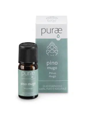 PURAE PURAE OLIO ESSENZIALE PINO MUGO BIO PINUS MUGO AGHI 10 ML PURAE PURAE OLIO ESSENZIALE PINO MUGO BIO PINUS MUGO AGHI 10 ML