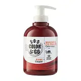 SOS COLOR&GO MASCHERA COLORATA RAVVIVA COLORE RAME 300 ML