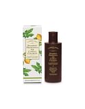 SHAMPOO PROTETTIVO CAPELLI COLORATI 200 ML