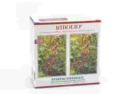 RIBOLIO DOPPIO 100 CAPSULE