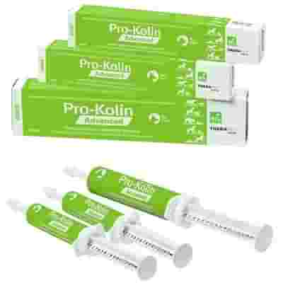 PROKOLIN ADVANCED DOG PASTA 30 ML PROKOLIN ADVANCED DOG PASTA 30 ML