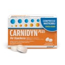 CARNIDYN PLUS 18 COMPRESSE MASTICABILI