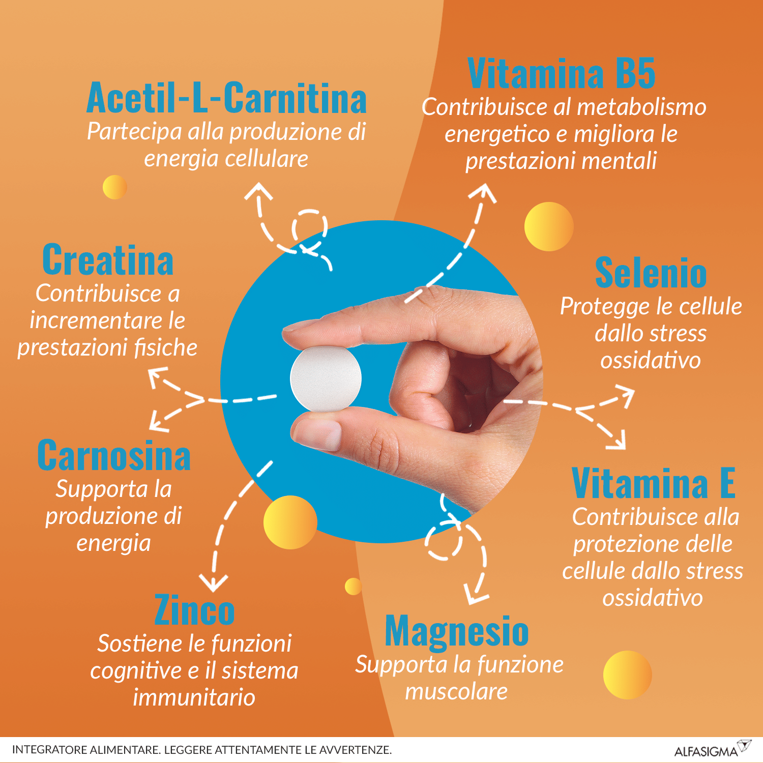 CARNIDYN PLUS 18 COMPRESSE MASTICABILI