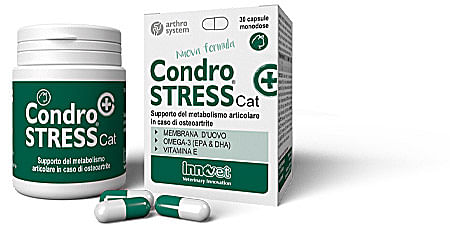 Condrostress + Cat 30 Capsule Monodose