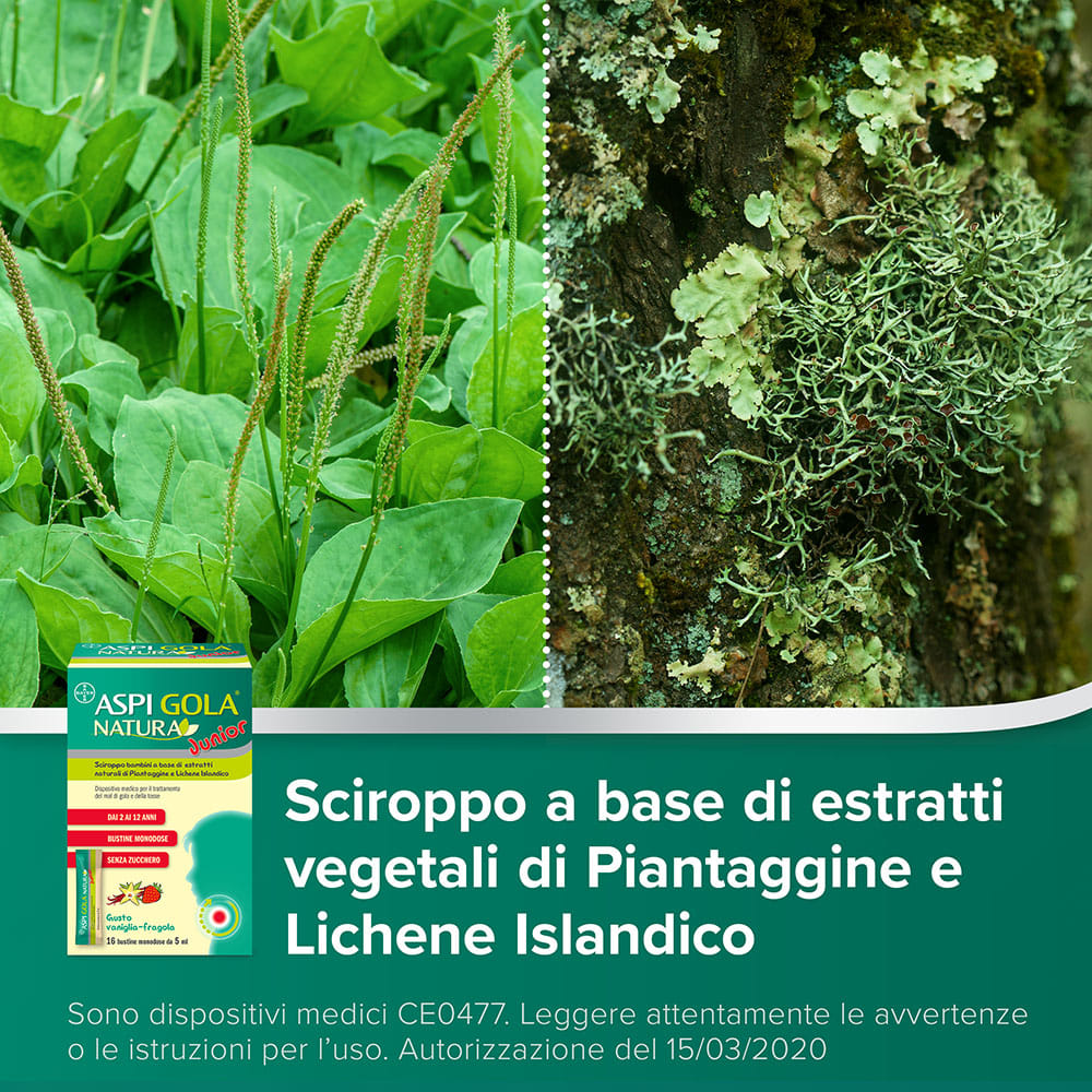 ASPI GOLA NATURA JUNIOR 16 BUSTINE MONODOSE DA 5 ML