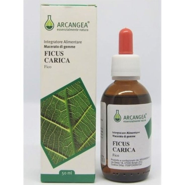 FICUS CARICA BIO 33 GEMMODERIVATO 50 ML
