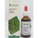 FICUS CARICA BIO 33 GEMMODERIVATO 50 ML