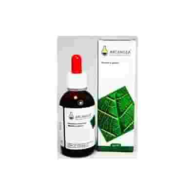 RUBUS IDAEUS GEMMODERIVATO 33 BIO 50 ML