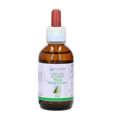 TILIA TOMENTOSA BIO 33 50 ML GEMMODERIVATO