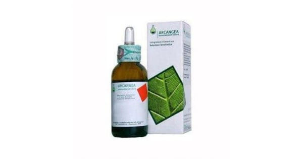 VACCINIUM VITIS IDAEA GEMMODERIVATO 33 BIO 50 ML